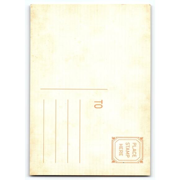 Vintage Photochrome Halloween Postcard Little Witch with Black Cat - Picture 2 of 2